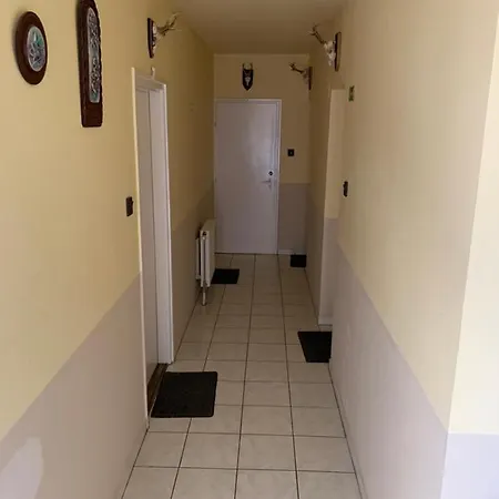 Aranykalasz Panzio B&B Szentes