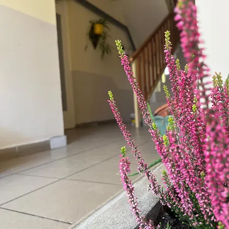 B&B Aranykalasz Panzio