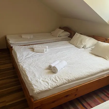 Aranykalasz Panzio B&B *